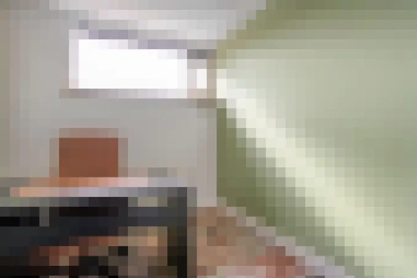 Lijster 71 Raalte thumbnail 22