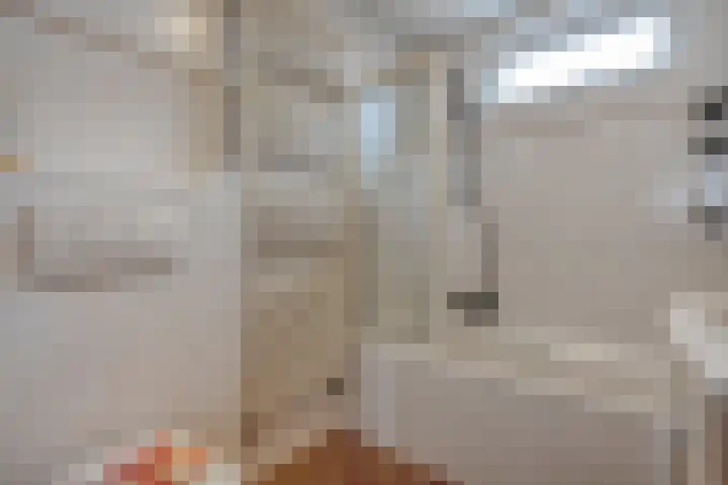 Lijster 71 Raalte thumbnail 24