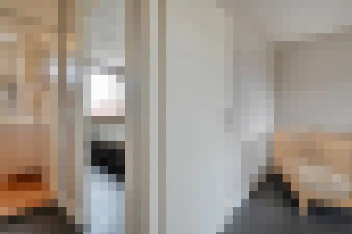 Lijster 71 Raalte thumbnail 27