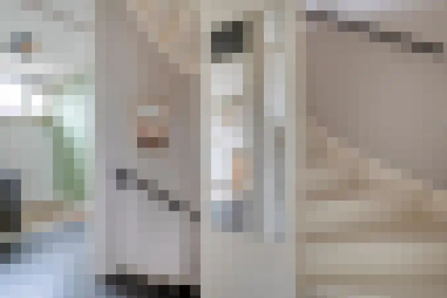 Lijster 71 Raalte thumbnail 28