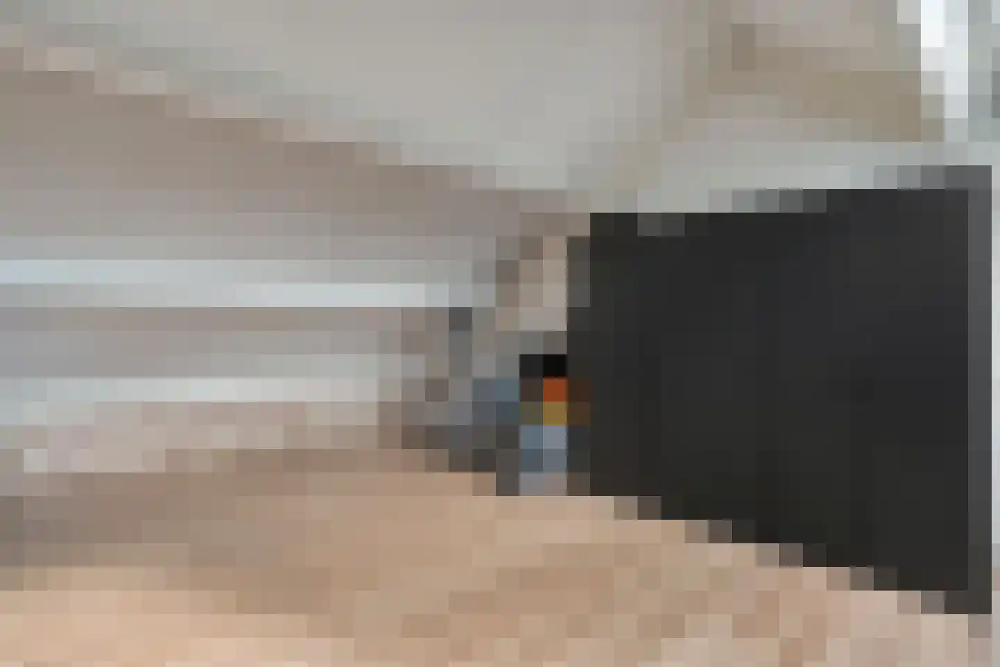 Lijster 71 Raalte thumbnail 30