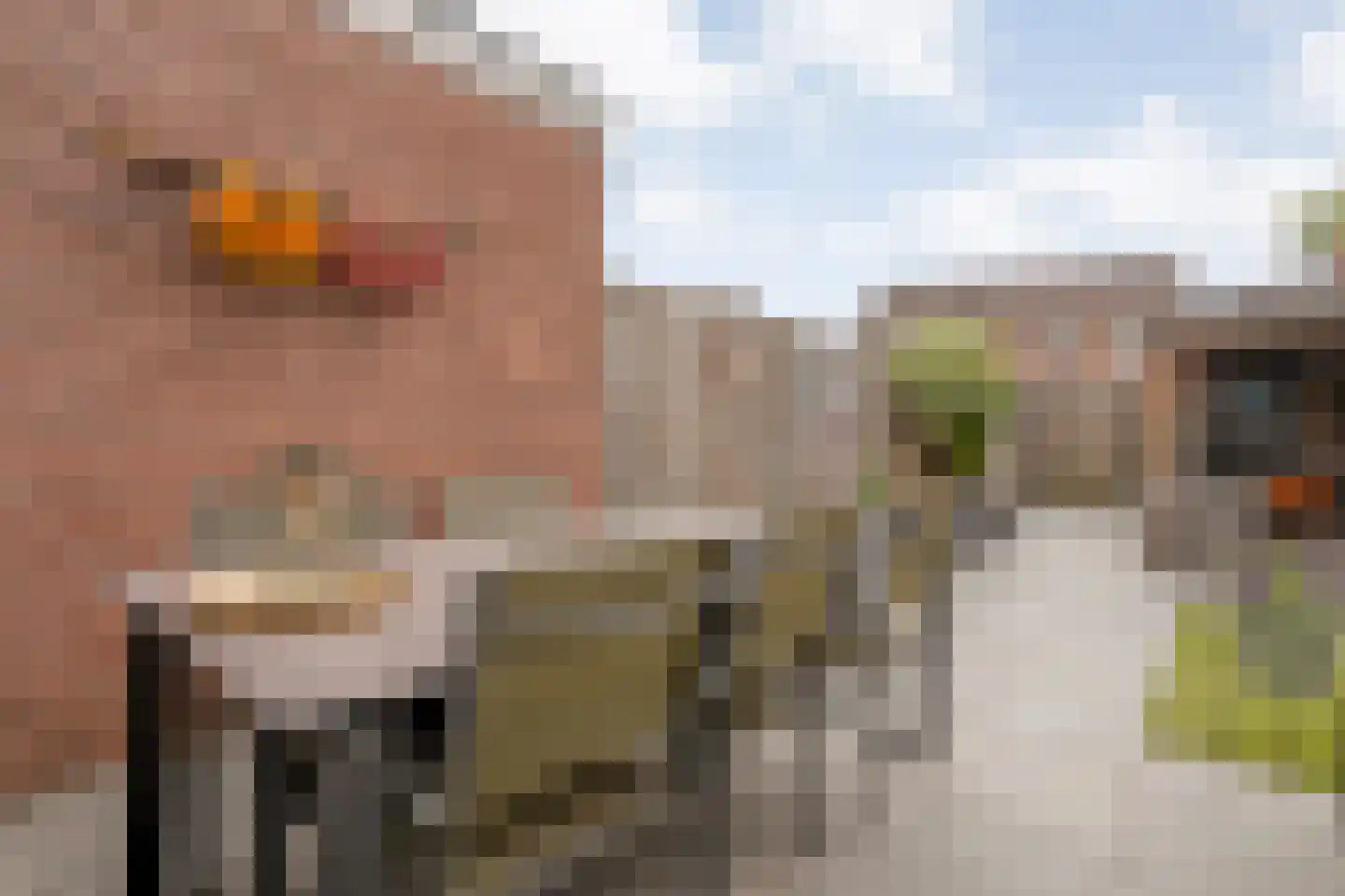 Lijster 71 Raalte thumbnail 31