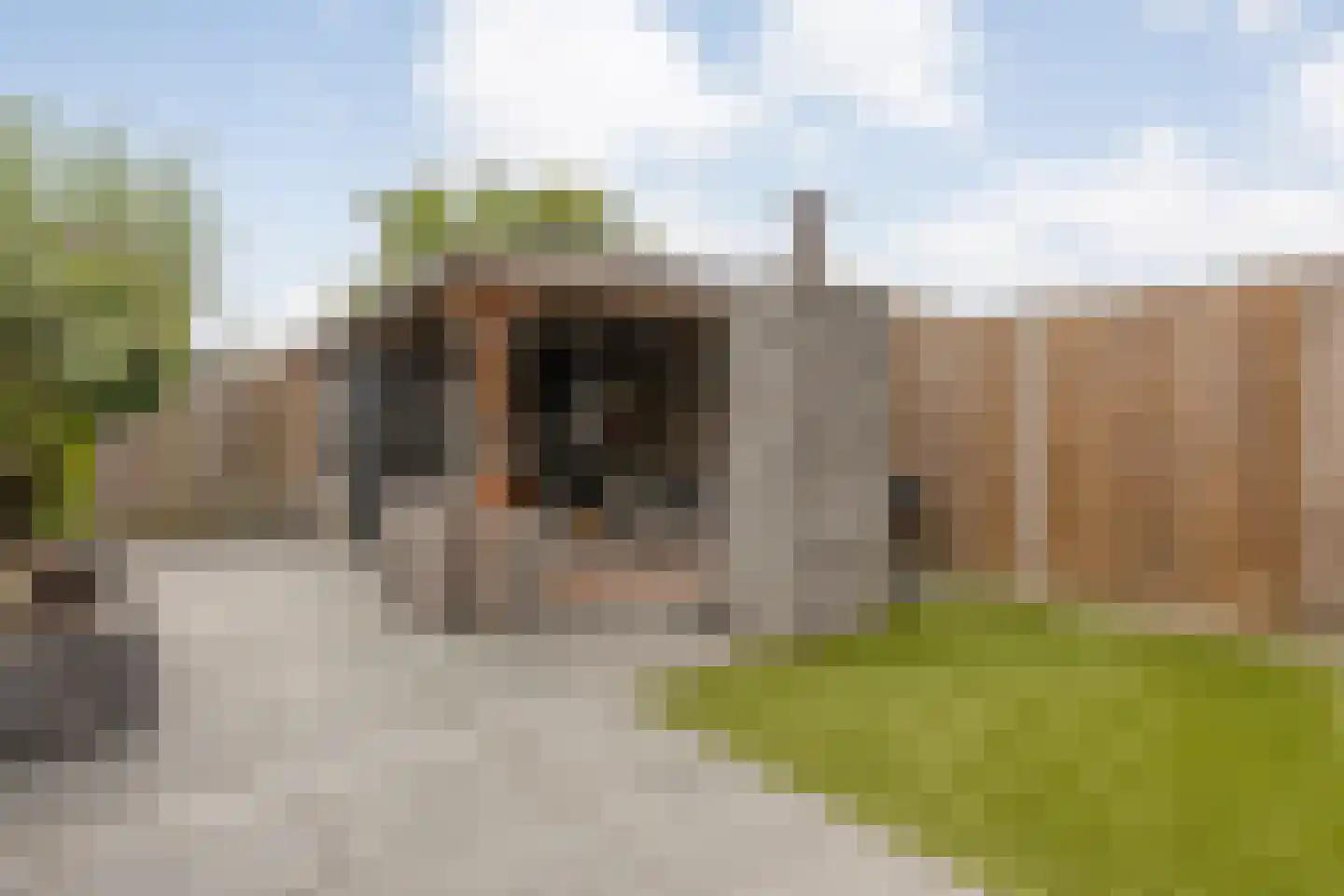 Lijster 71 Raalte thumbnail 33