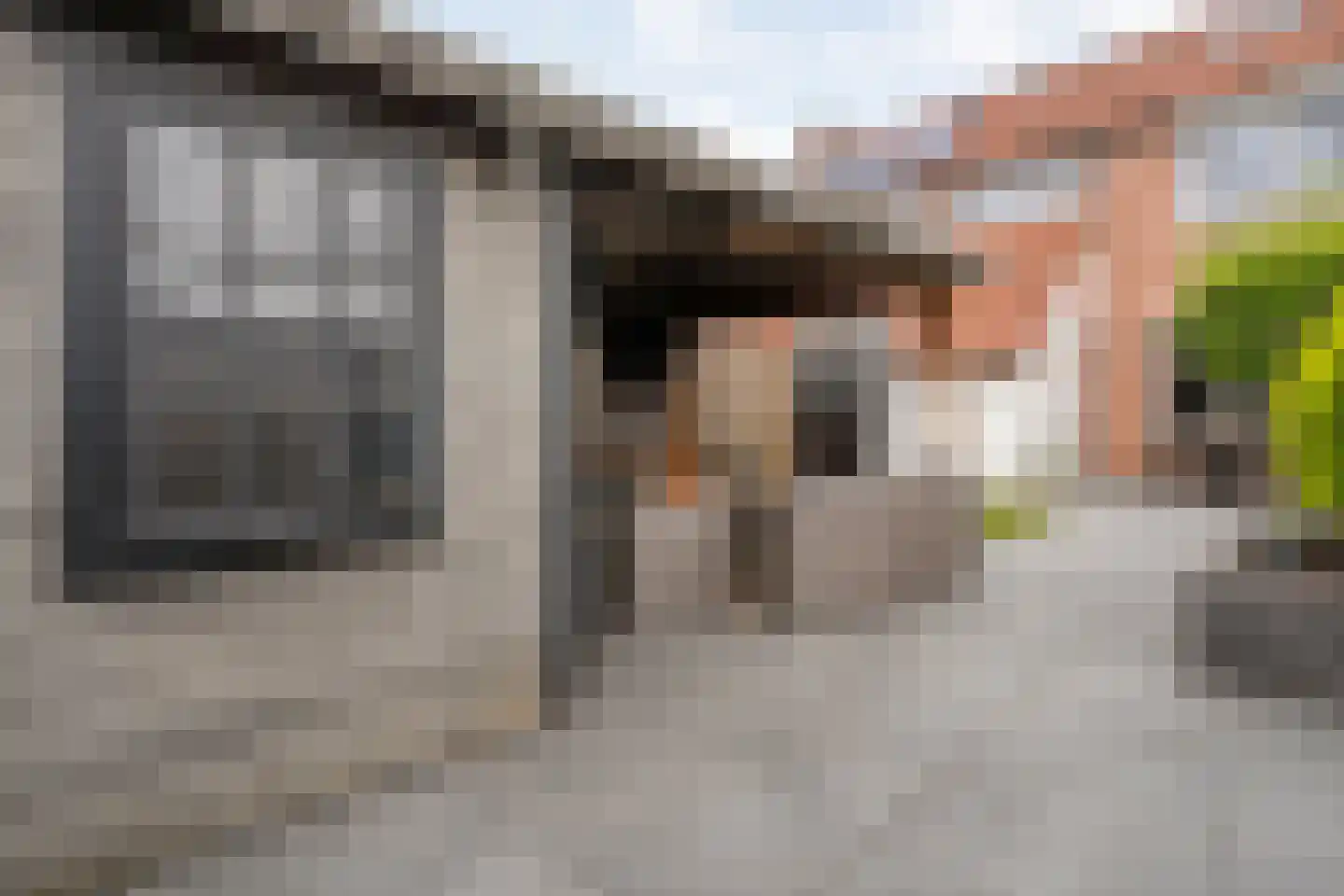 Lijster 71 Raalte thumbnail 37