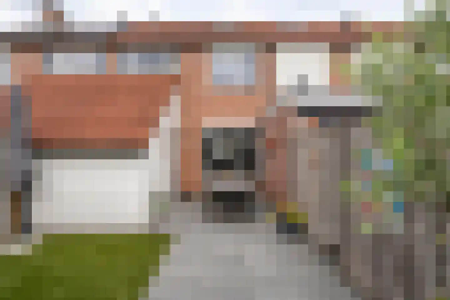 Lijster 71 Raalte thumbnail 38