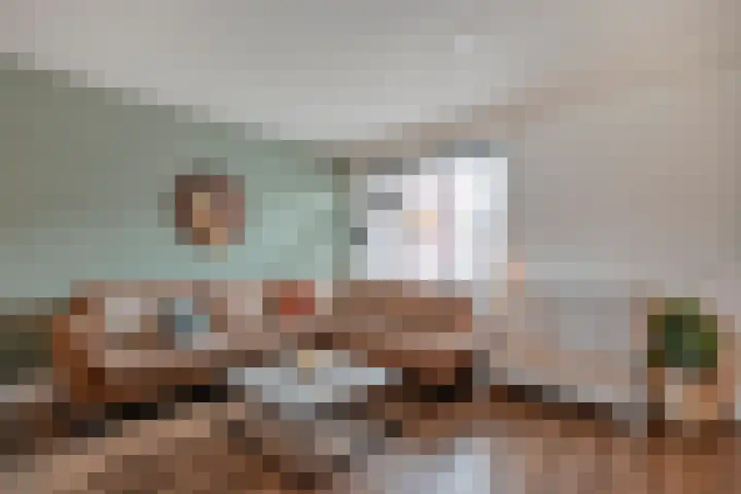 Lijster 71 Raalte thumbnail 5