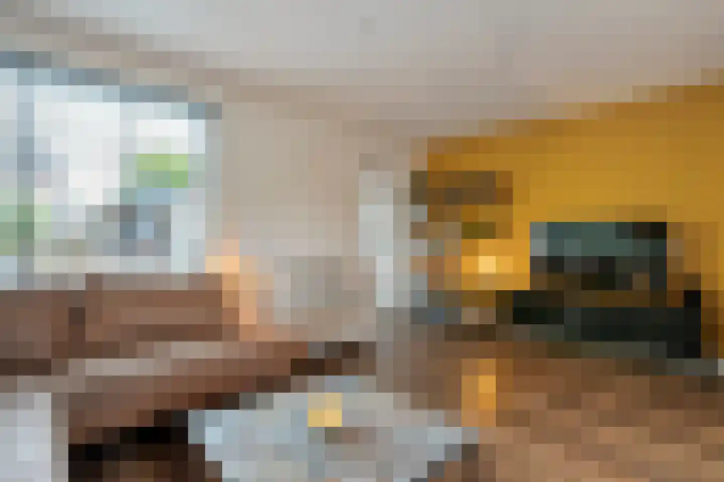 Lijster 71 Raalte thumbnail 6
