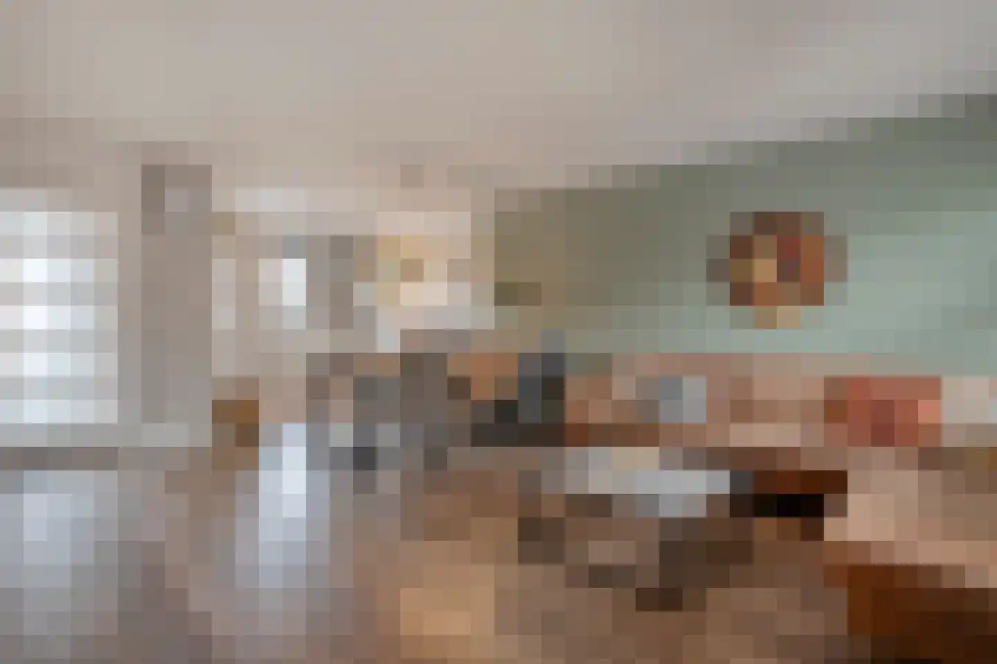 Lijster 71 Raalte thumbnail 7
