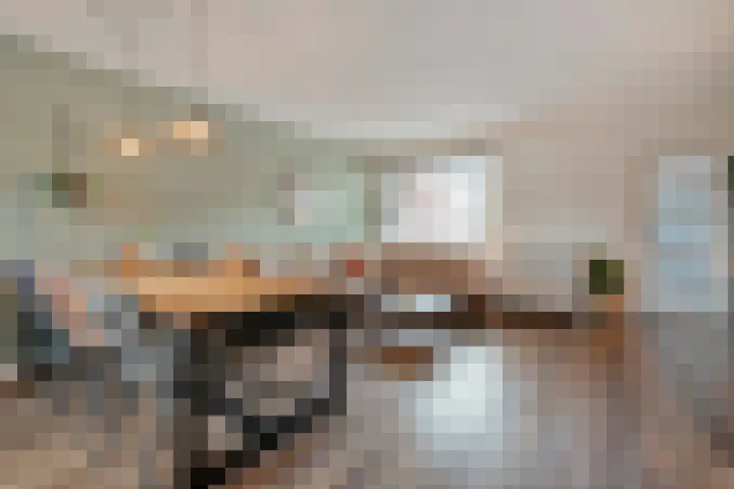 Lijster 71 Raalte thumbnail 8