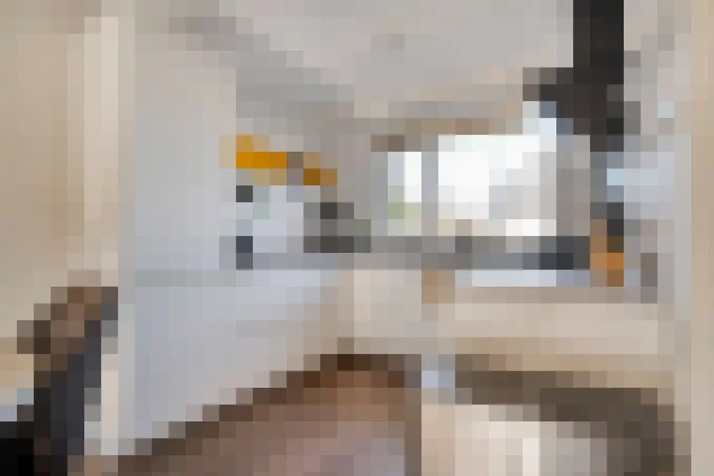 Lijster 73 Raalte thumbnail 12