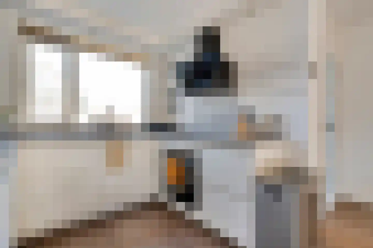 Lijster 73 Raalte thumbnail 13