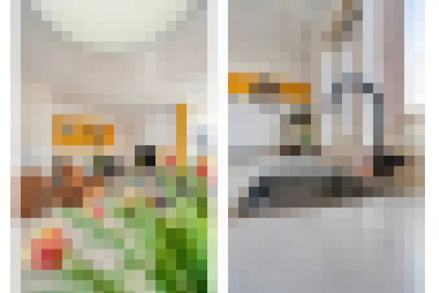 Lijster 73 Raalte thumbnail 14
