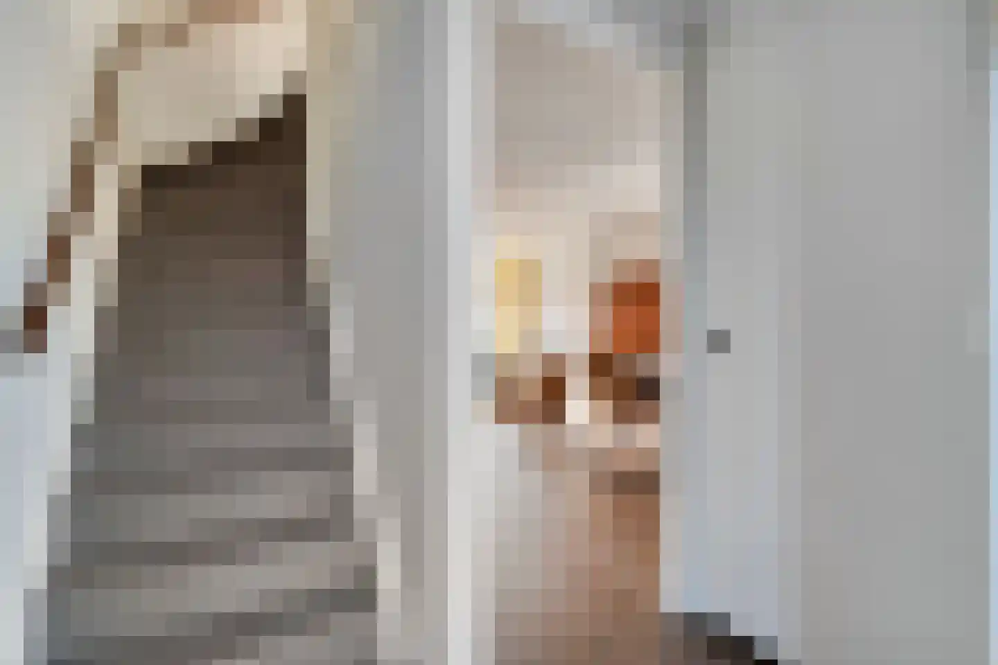 Lijster 73 Raalte thumbnail 15