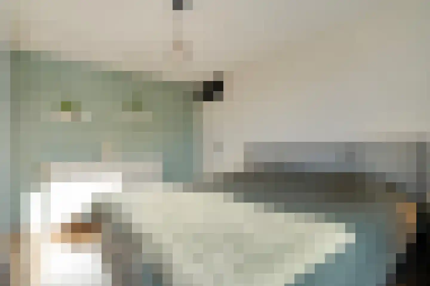 Lijster 73 Raalte thumbnail 20