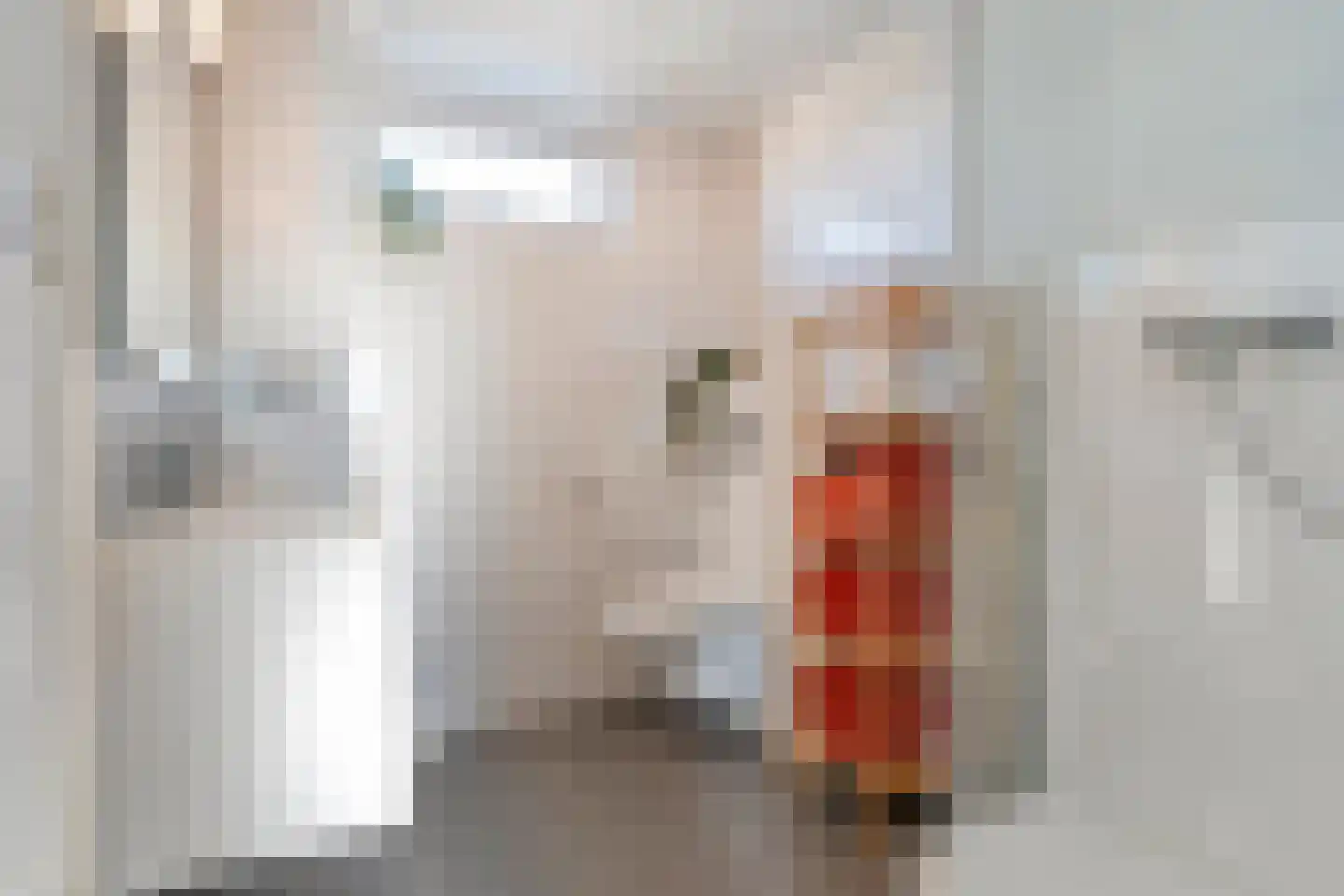 Lijster 73 Raalte thumbnail 22