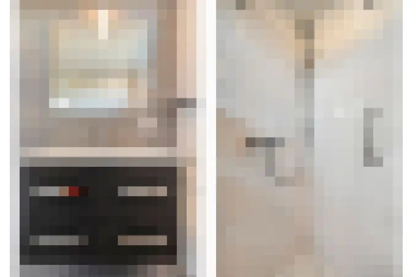 Lijster 73 Raalte thumbnail 23