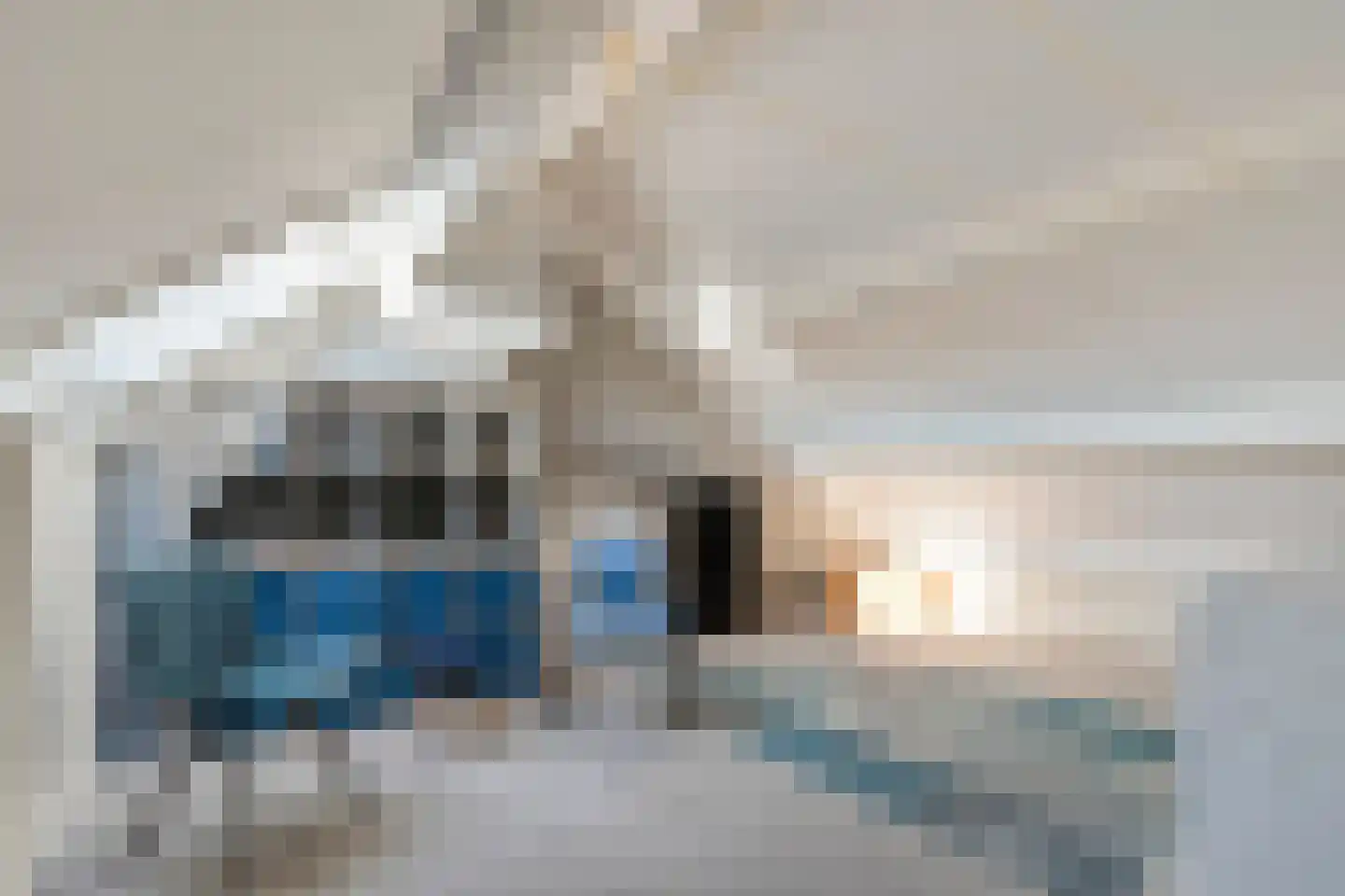Lijster 73 Raalte thumbnail 24