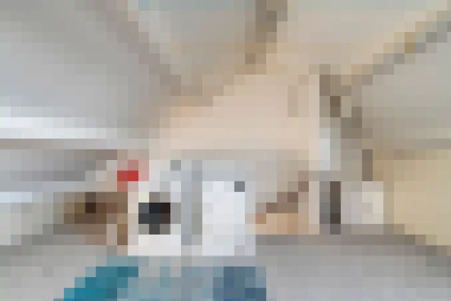 Lijster 73 Raalte thumbnail 25