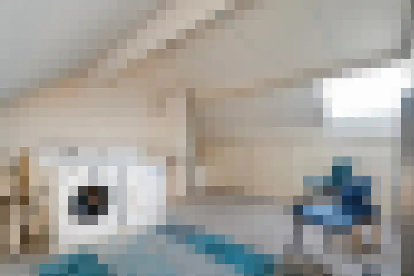 Lijster 73 Raalte thumbnail 26