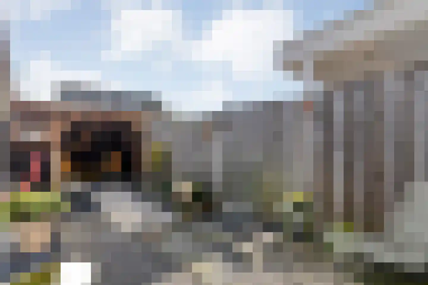 Lijster 73 Raalte thumbnail 29