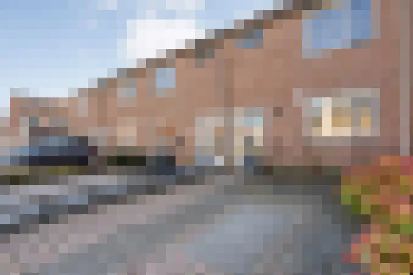 Lijster 73 Raalte foto 3