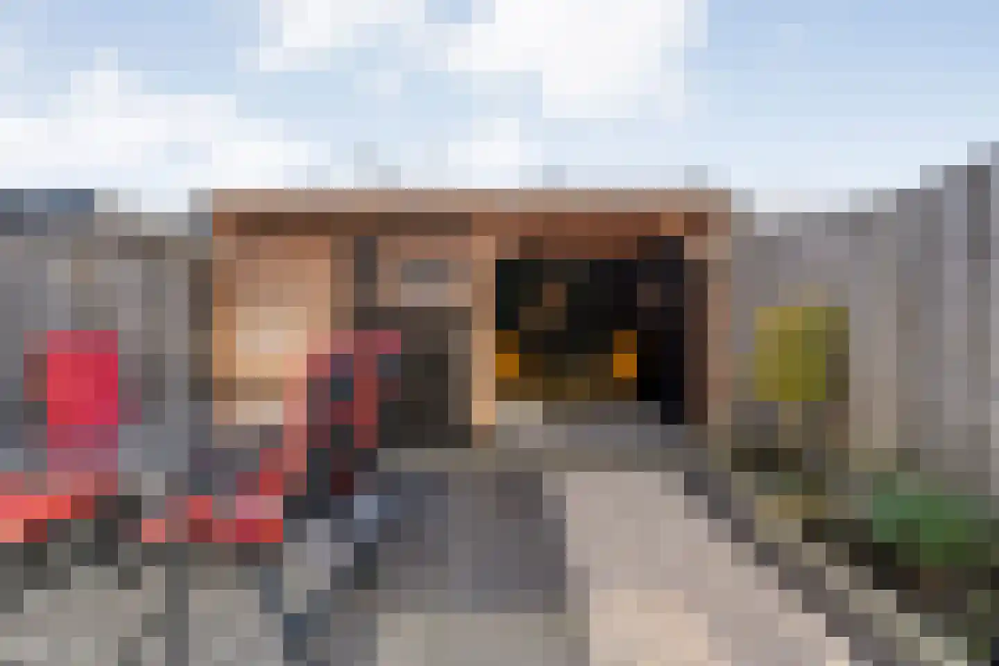 Lijster 73 Raalte thumbnail 31