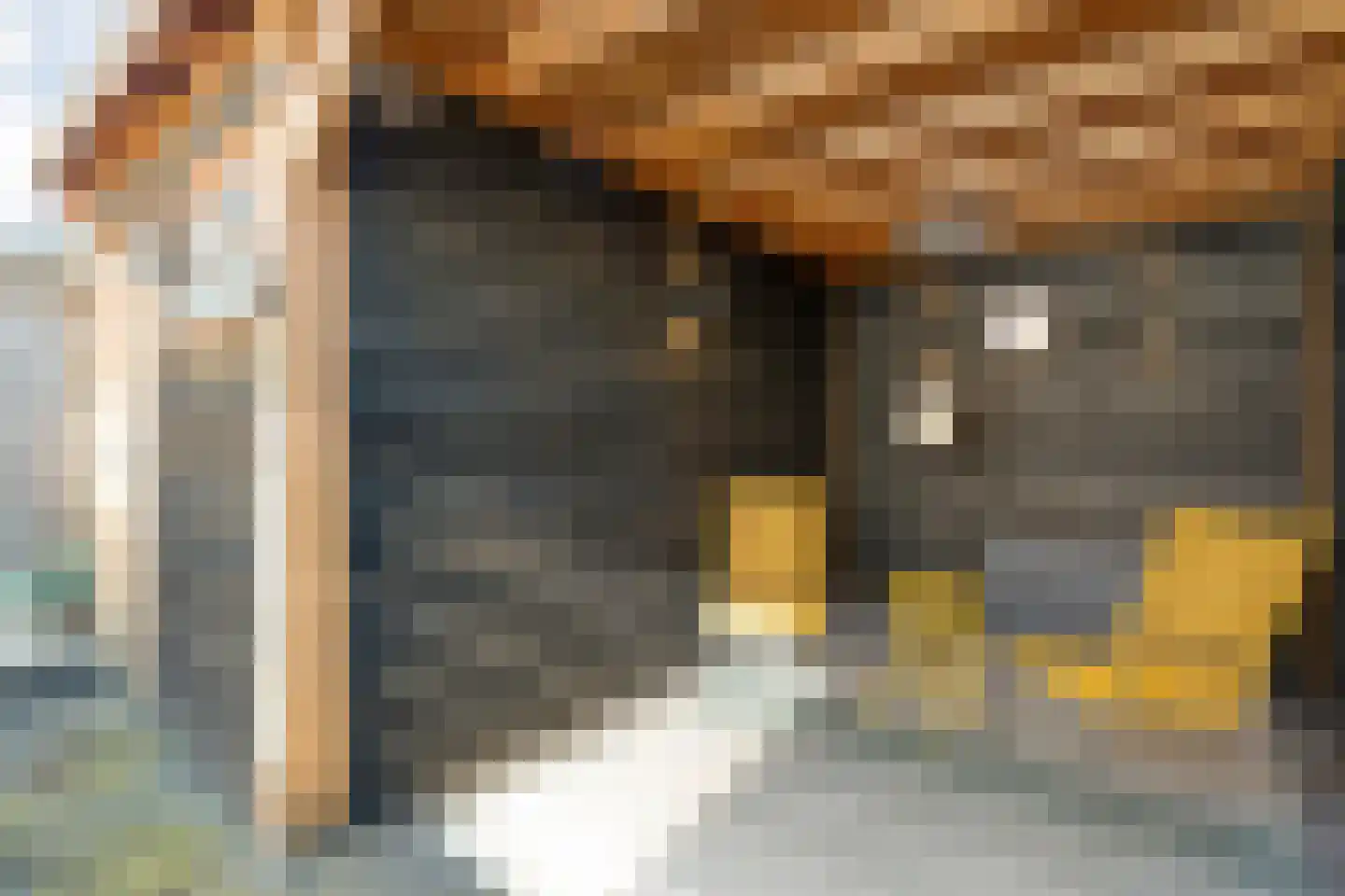 Lijster 73 Raalte thumbnail 34