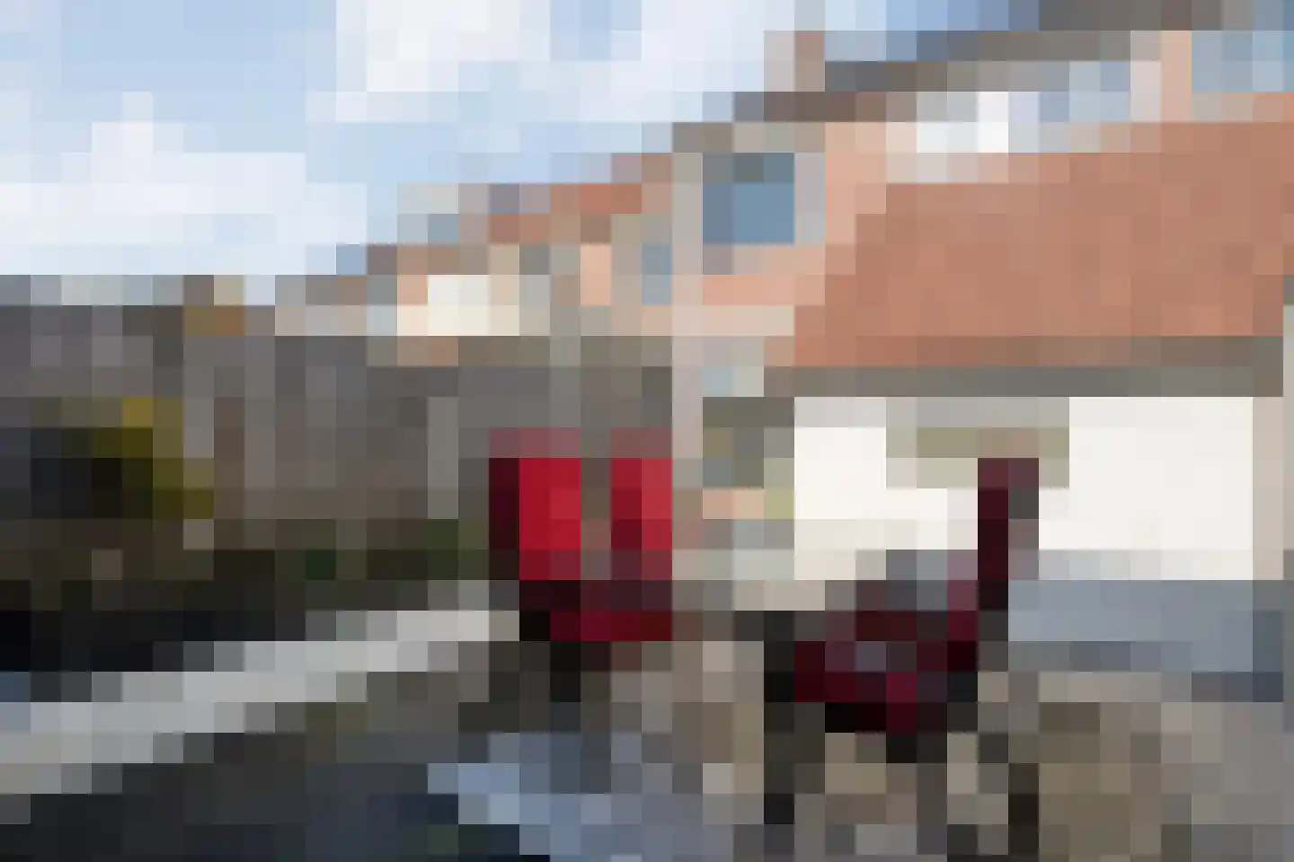 Lijster 73 Raalte thumbnail 35