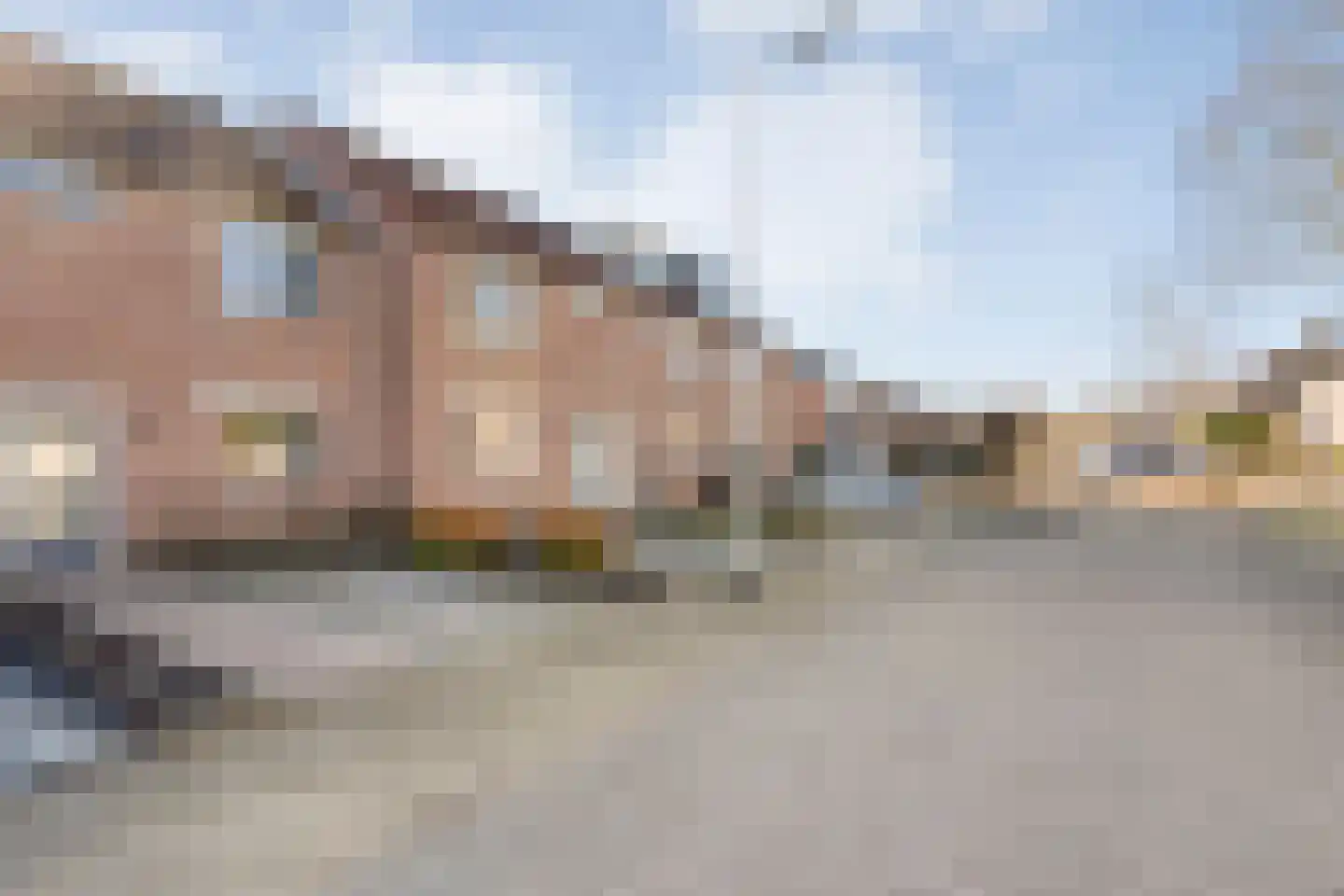Lijster 73 Raalte thumbnail 37