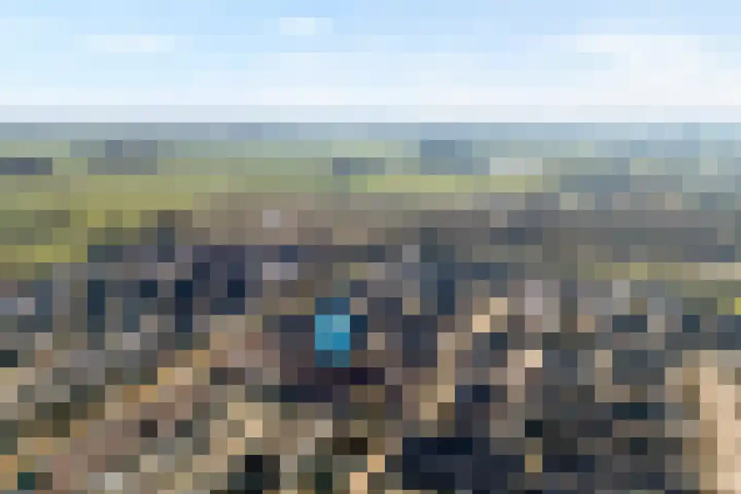 Lijster 73 Raalte thumbnail 38