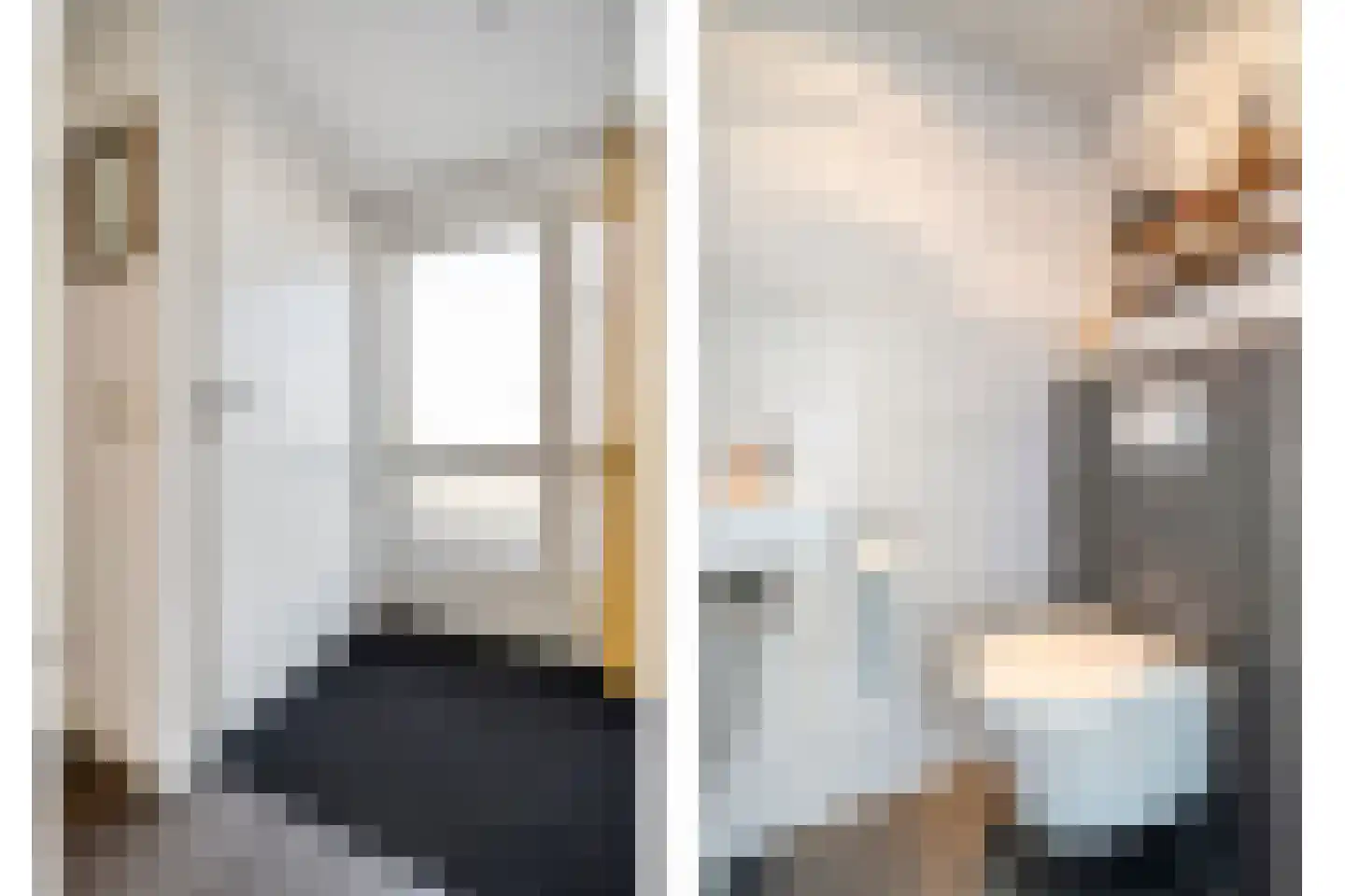 Lijster 73 Raalte thumbnail 4