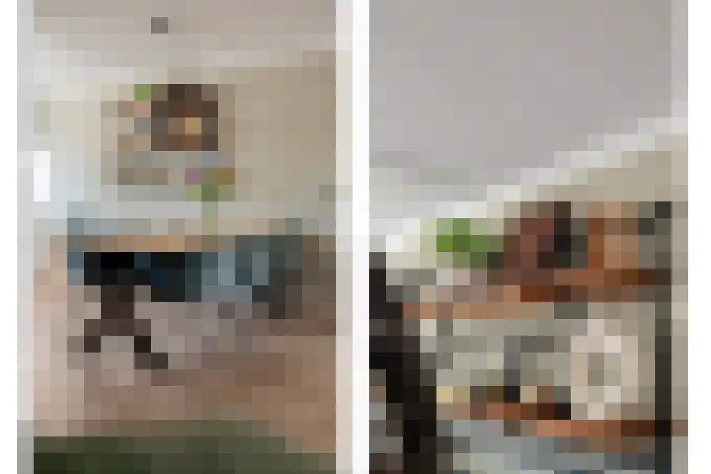 Lijster 75 Raalte thumbnail 10