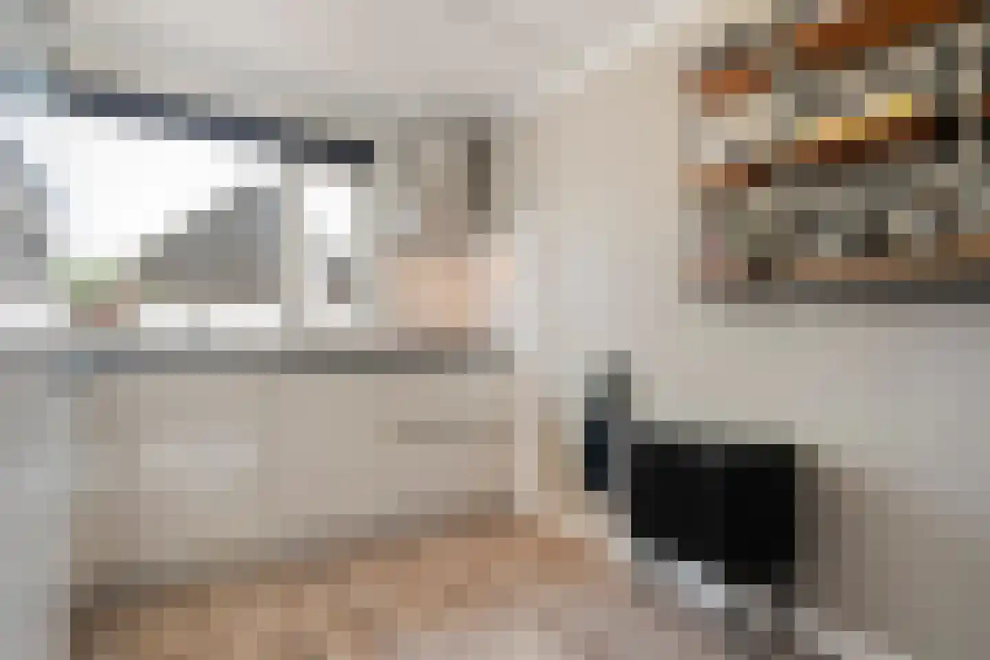 Lijster 75 Raalte thumbnail 11