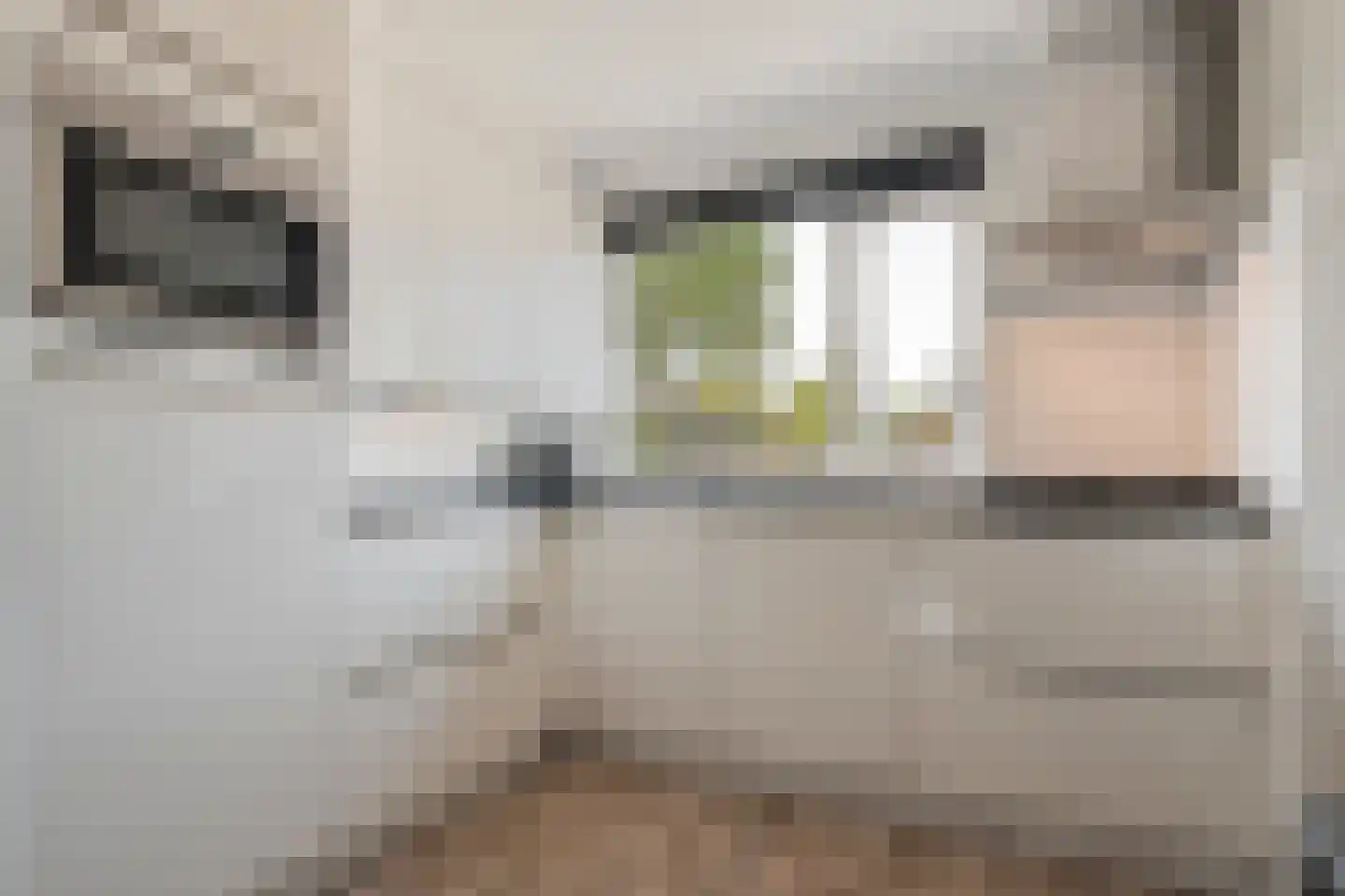 Lijster 75 Raalte thumbnail 12