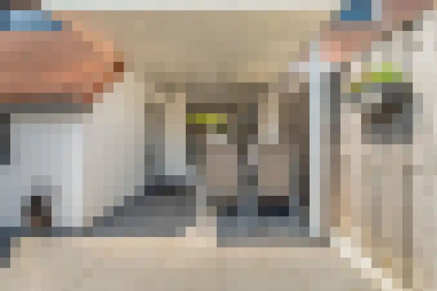 Lijster 75 Raalte thumbnail 34