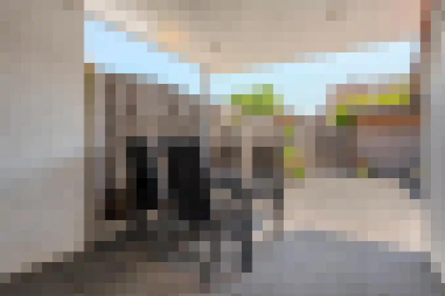 Lijster 75 Raalte thumbnail 35