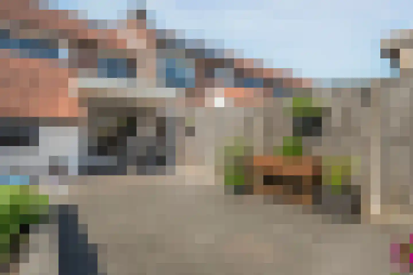 Lijster 75 Raalte thumbnail 38