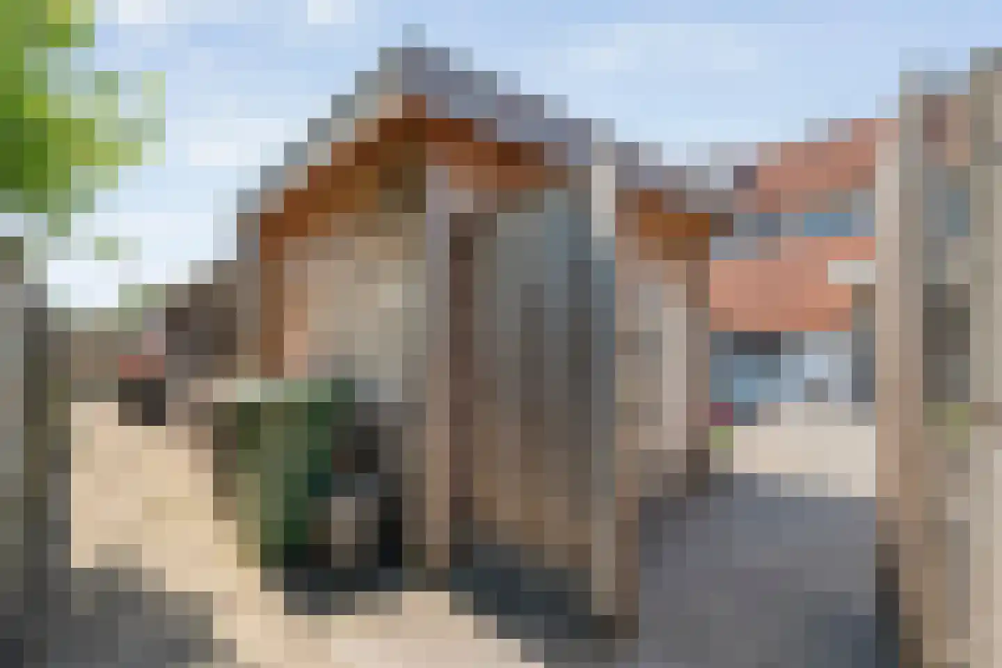 Lijster 75 Raalte thumbnail 39