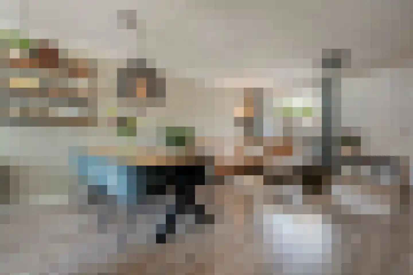 Lijster 75 Raalte thumbnail 4