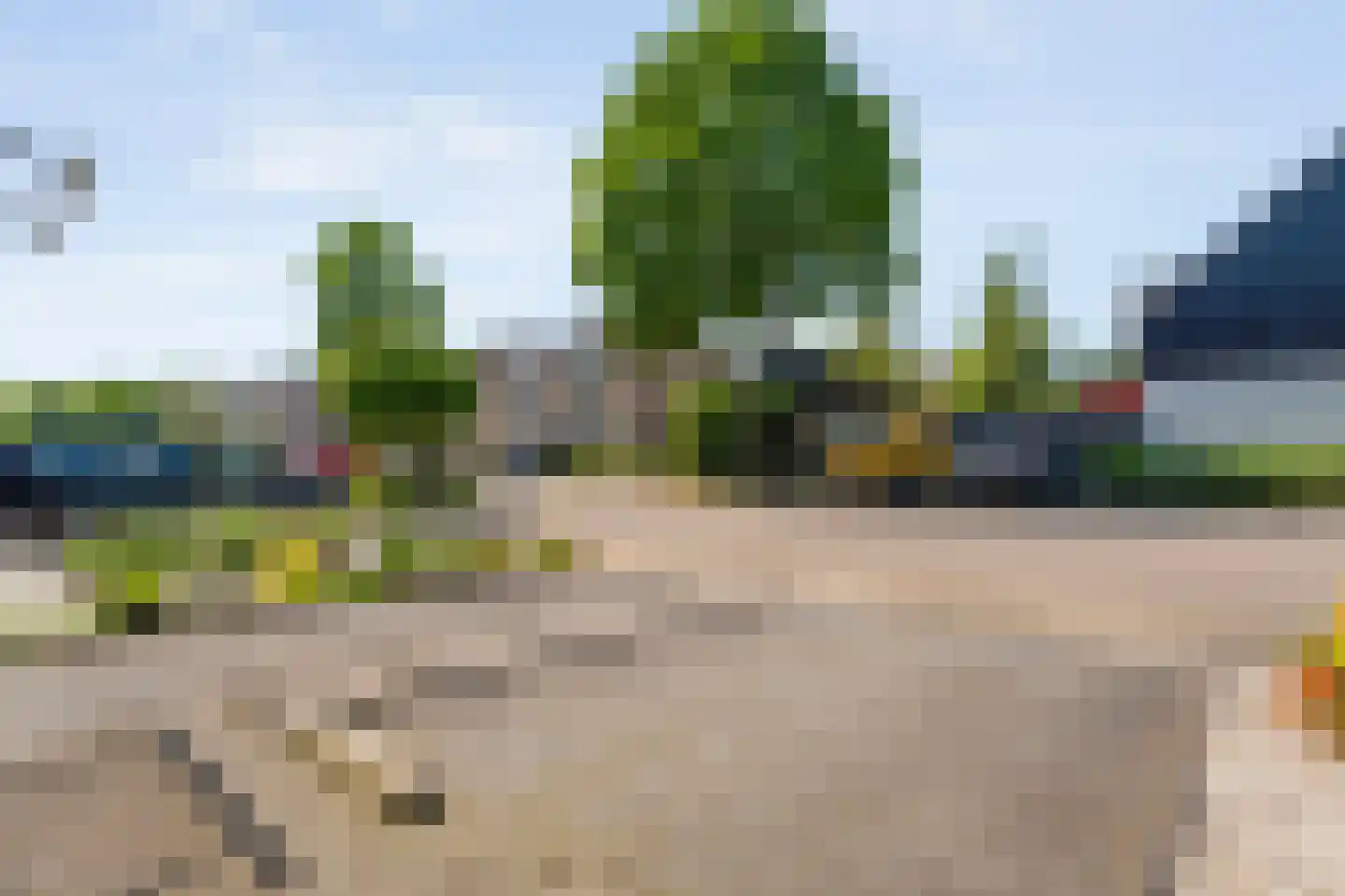 Lijster 75 Raalte thumbnail 42