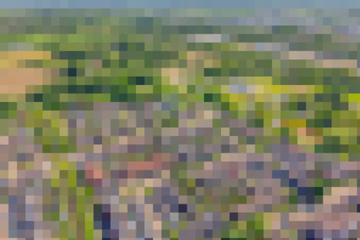 Lijster 75 Raalte thumbnail 44