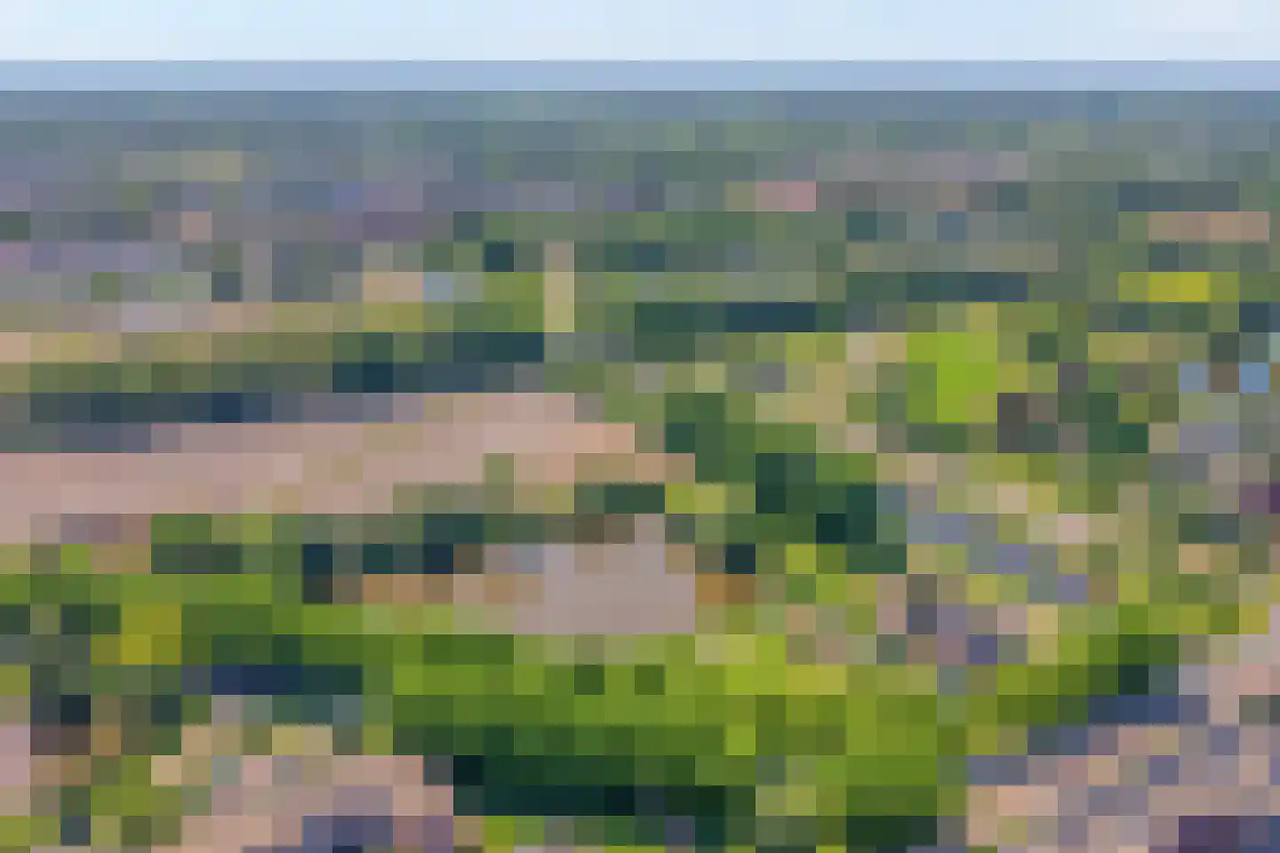 Lijster 75 Raalte thumbnail 45