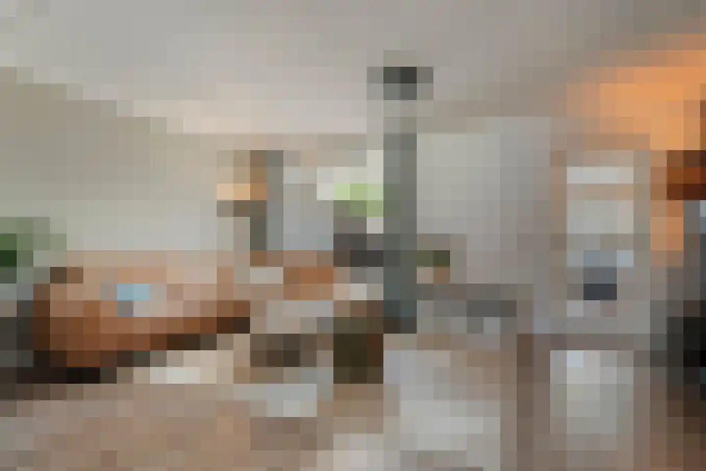 Lijster 75 Raalte thumbnail 5