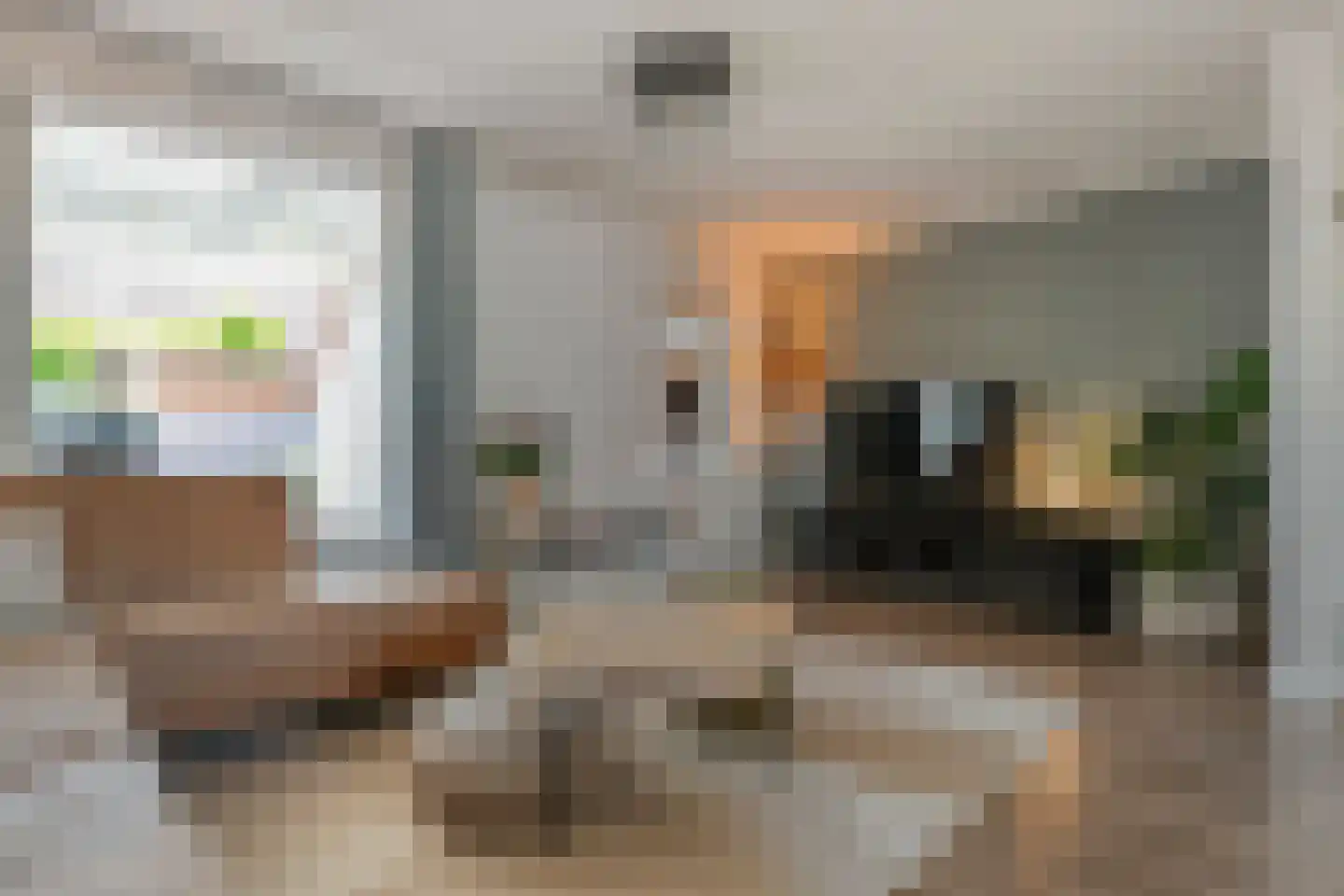 Lijster 75 Raalte thumbnail 6