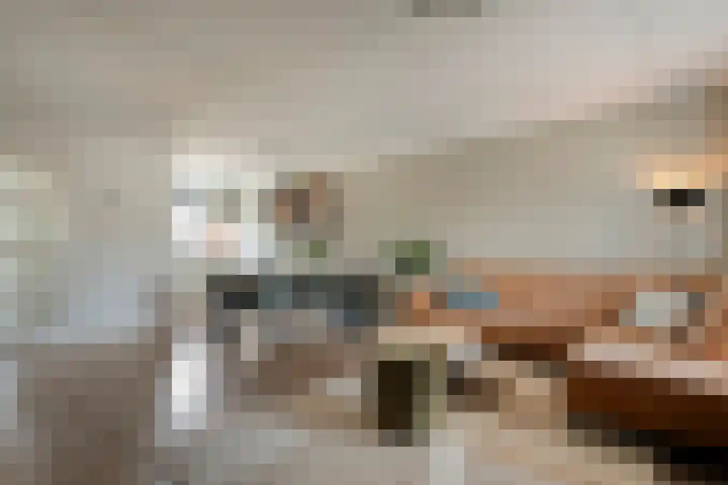 Lijster 75 Raalte thumbnail 7