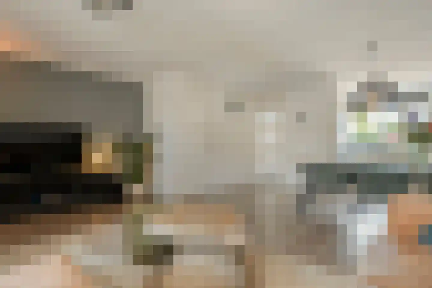 Lijster 75 Raalte thumbnail 8