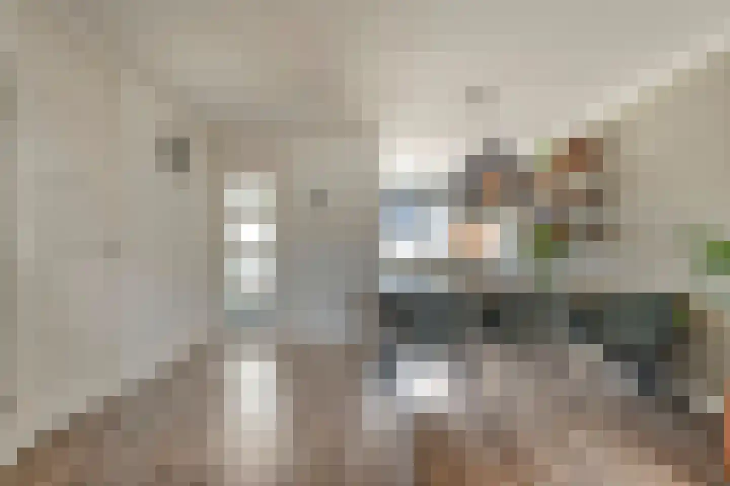 Lijster 75 Raalte thumbnail 9