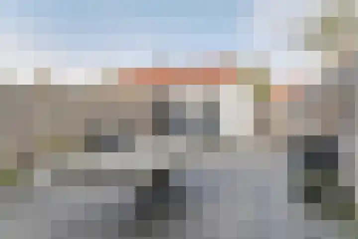 Lijster 78 Hoorn thumbnail 17
