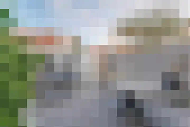 Lijster 78 Hoorn thumbnail 18