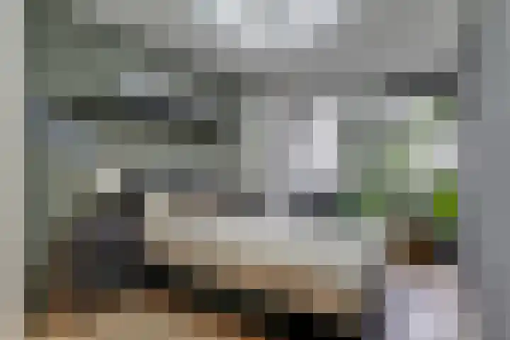 Lijster 78 Hoorn thumbnail 20